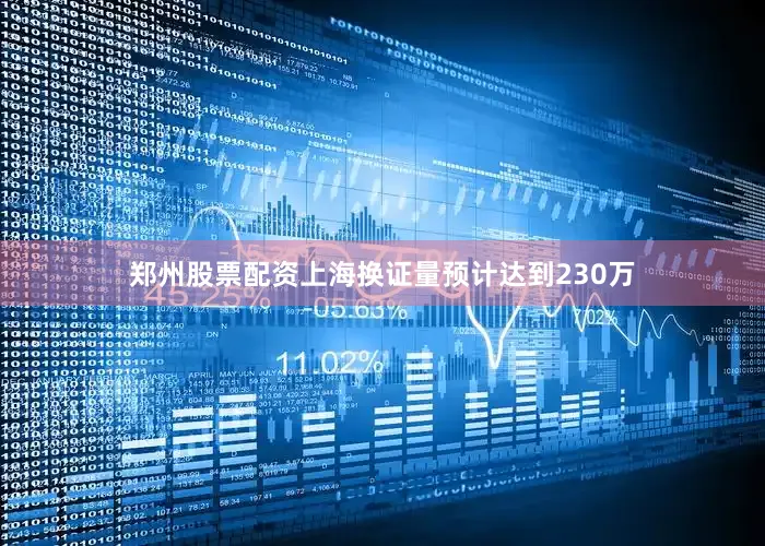 郑州股票配资上海换证量预计达到230万