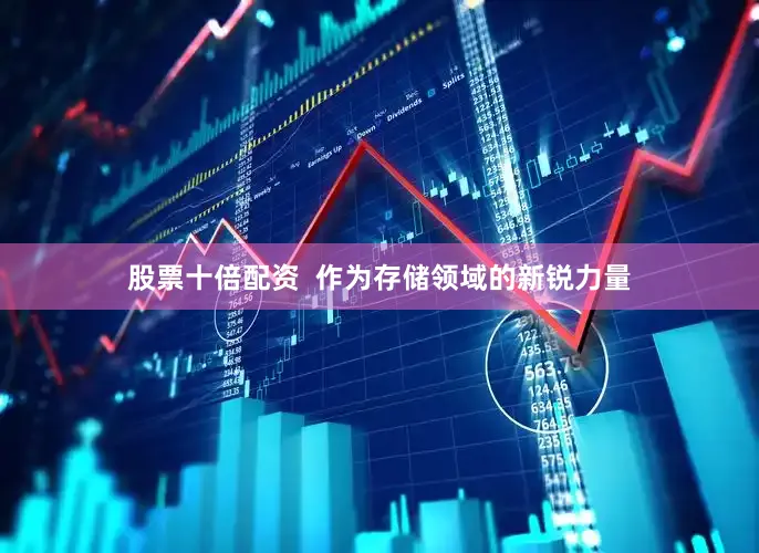 股票十倍配资 　　 　　作为存储领域的新锐力量