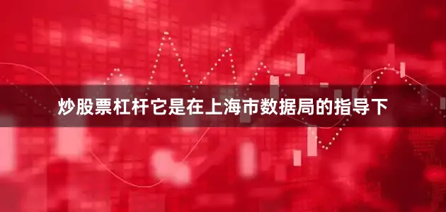 炒股票杠杆它是在上海市数据局的指导下